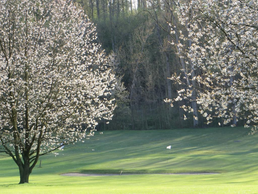 Golf & Hotel De Falnuee Mazy Buitenkant foto